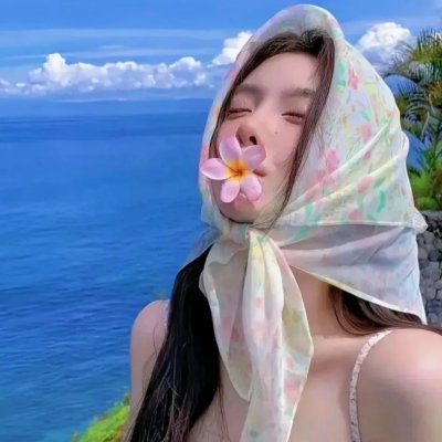 公民哈维尔